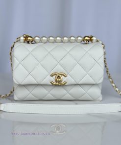 Chanel Bag Brand Chanel model AS5001 Introduction Original quality, classic work, at the for 96a4zq20