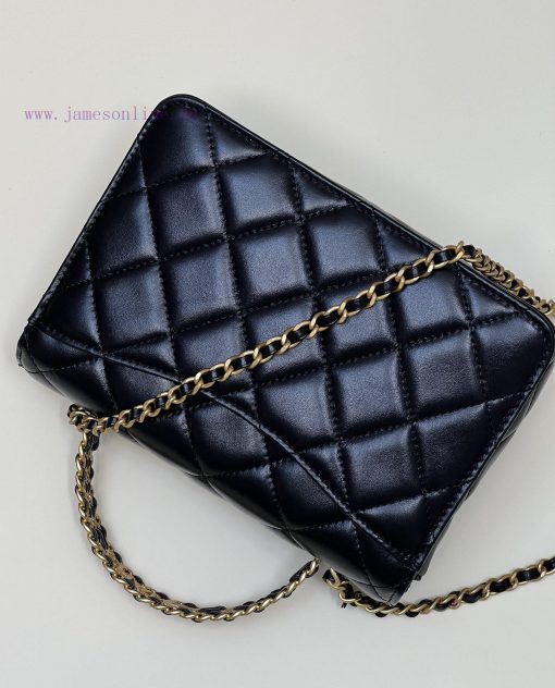 Chanel Bag 𝟮𝟯𝗣 The handle bag is made of cowhide series, with a bright luster, classic desig ap56ciqv - Image 4
