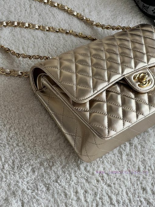 Chanel Bag 𝗖𝗛𝗔𝗡𝗘𝗟𝘾𝙁 series sheepskin quality with inner lambskinSize 𝟮𝟱 𝟱 𝗰𝗺Model 𝟭𝟭𝟭𝟭𝟮 qtby25j4 - Image 4