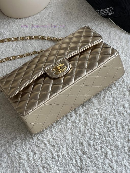 Chanel Bag 𝗖𝗛𝗔𝗡𝗘𝗟𝘾𝙁 series sheepskin quality with inner lambskinSize 𝟮𝟱 𝟱 𝗰𝗺Model 𝟭𝟭𝟭𝟭𝟮 qtby25j4 - Image 5