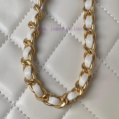 Chanel Bag Chanel 24C Early Spring Vacation Collection AS4611 Retro Metal Large Logo with a 6opvj1uy - Image 5