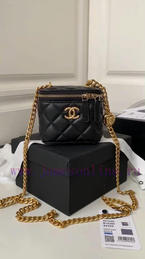 Chanel Bag a fe53lsic