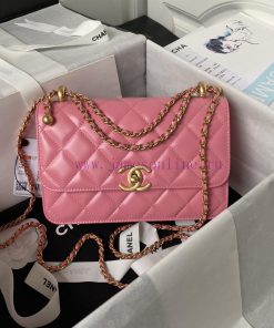Chanel Bag Chanel 24C Double Small Gold Ball AS2649 ️ Professional goal team walked in and o zt1o9g2t