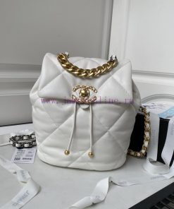 Chanel Bag The 24C 19bag dual shoulder AS4223 is the first release on the entire network24C wj9ii3hm