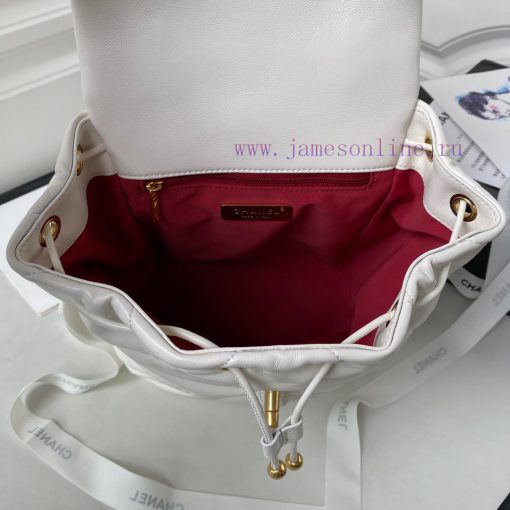 Chanel Bag The 24C 19bag dual shoulder AS4223 is the first release on the entire network24C wj9ii3hm - Image 8