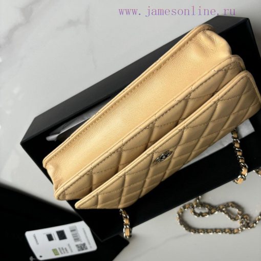 Chanel Bag Brand Chanel model apricot color introduction Original quality, classic work, at 3ddcwdc2 - Image 4
