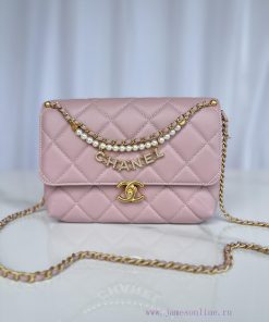 Chanel Bag Brand Chanel model AS5011 Introduction Original quality, classic work, at the for pzrfc5wp