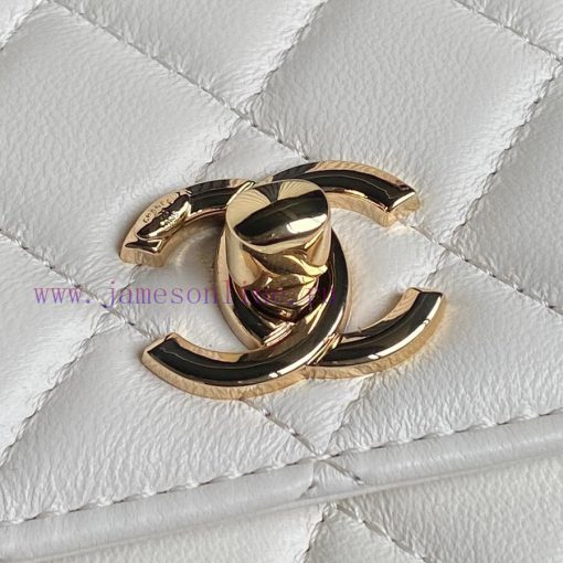 Chanel Bag Chanel 24B Trendy CC is absolutely stunning! A4184 lambskin paired with a golden e5byx7cp - Image 4
