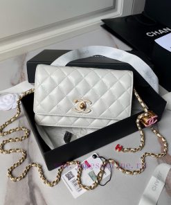 Chanel Bag Chanel 24A Handmade Visit Series New Woc A3938 Sheepskin with Color Buckle is rea hxqj23ix