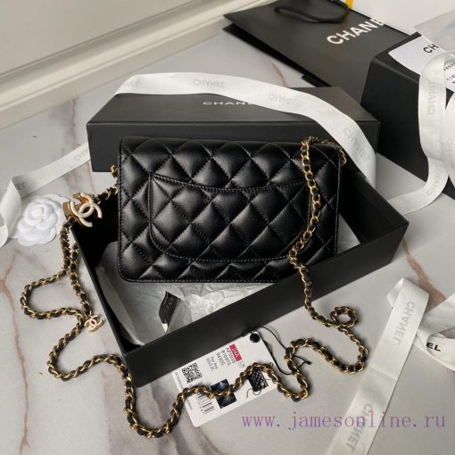 Chanel Bag Chanel 24A Handmade Visit Series New Woc A3938 Sheepskin with Color Buckle is rea 4nqcaecf - Image 3