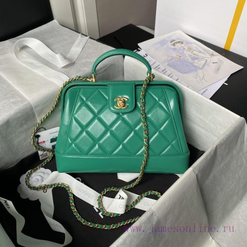 Chanel Bag Chanel 24A Handmade Visit Series Doctor's Bag AS4959 Physical Super Beautiful Oil pzjxahke