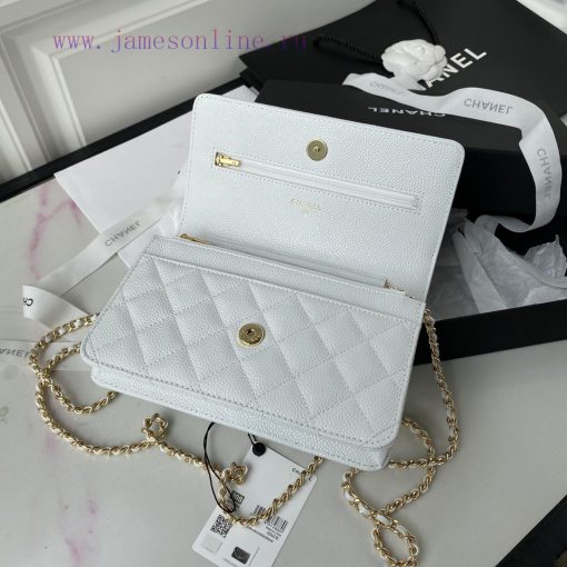 Chanel Bag The 2020 Spring/Summer New WOC Wealth Bag A0250 features a classic design of clas 2nbbm8ls - Image 6