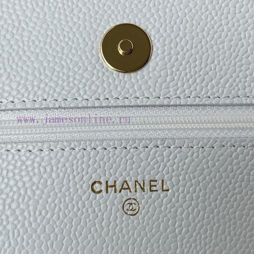 Chanel Bag The 2020 Spring/Summer New WOC Wealth Bag A0250 features a classic design of clas 2nbbm8ls - Image 8