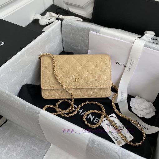 Chanel Bag The spring and summer new version of WOC Wealth Bag A0250 features a classic desi ohmlcwd1 - Image 2