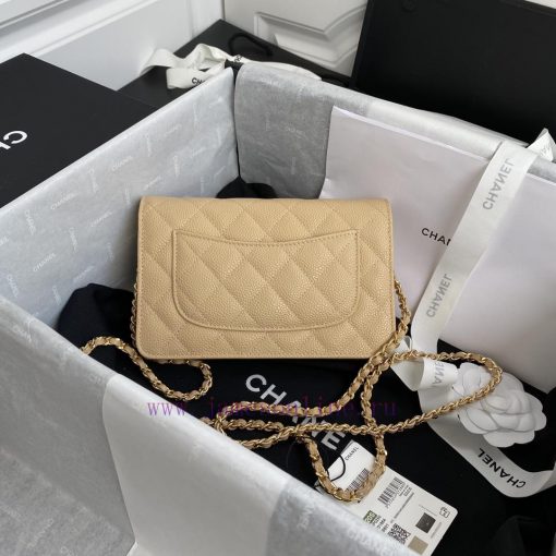 Chanel Bag The spring and summer new version of WOC Wealth Bag A0250 features a classic desi ohmlcwd1 - Image 3