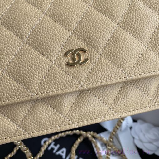 Chanel Bag The spring and summer new version of WOC Wealth Bag A0250 features a classic desi ohmlcwd1 - Image 4