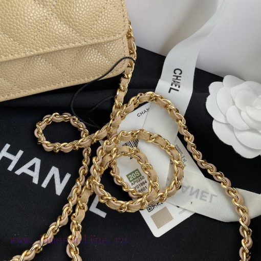 Chanel Bag The spring and summer new version of WOC Wealth Bag A0250 features a classic desi ohmlcwd1 - Image 5