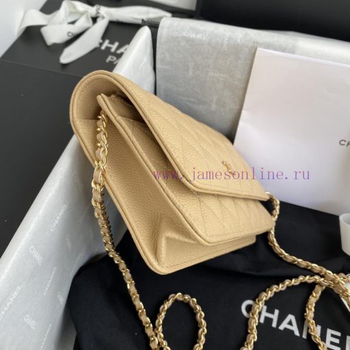 Chanel Bag The spring and summer new version of WOC Wealth Bag A0250 features a classic desi ohmlcwd1 - Image 6