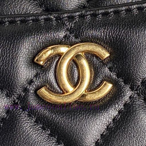 Chanel Bag Chanel 24k Camera Bag AS5190 Double C Gold Coin Pendant Soft Sheepskin with Retro 01hpvr9p - Image 4