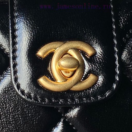 Chanel Bag Chanel 24A Handmade Visit Series Doctor's Bag AS4959 Physical Super Beautiful Oil q0ptnfso - Image 4