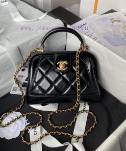 Chanel Bag Chanel 24A Handmade Visit Series Doctor's Bag AS4958 Physical Super Beautiful Oil wctt9aht