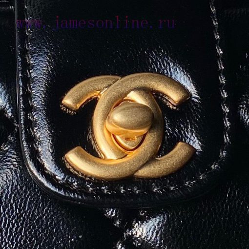 Chanel Bag Chanel 24A Handmade Visit Series Doctor's Bag AS4958 Physical Super Beautiful Oil wctt9aht - Image 4