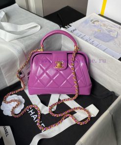 Chanel Bag Chanel 24A Handmade Visit Series Doctor's Bag AS4958 Physical Super Beautiful Oil k5mkdu0m