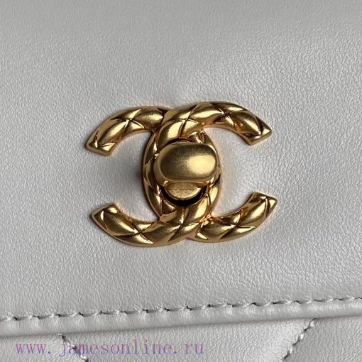 Chanel Bag Chane24B Autumn/Winter Collection Premium Banquet Bag AS5036 Sheepskin Material i f64b20sm - Image 4