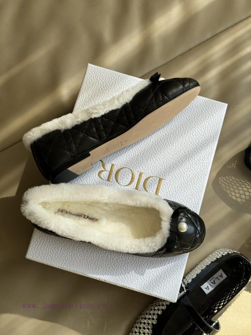Dior SS24 Princess ShoesIt's absolutely stunning, princess exclusive shoesThe inner fur is iy33wkf72 - Image 4