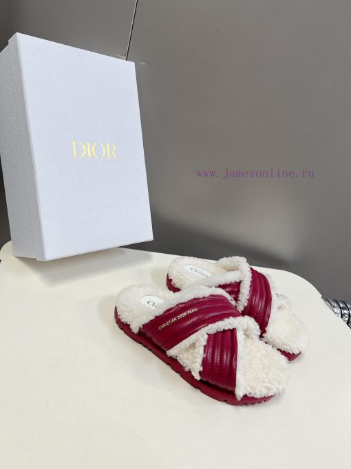 Dior spring and summer sandals are full of celebrities, internet celebrities, and grass plan134o5y8b - Image 3