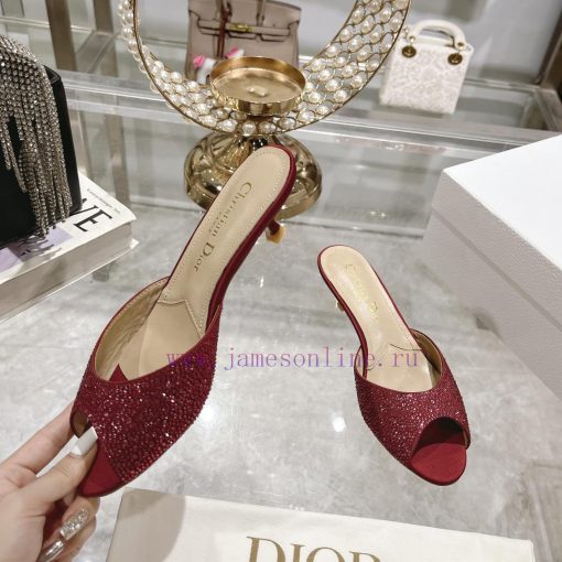 Top tierDior 2024 Spring/Summer New Fish Mouth Slippers Round Headed Mary Jane Heels Top in ezuyf8om - Image 5