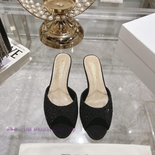 Top tierDior 2024 Spring/Summer New Fish Mouth Slippers Round Headed Mary Jane Heels Top in b3r78rm1