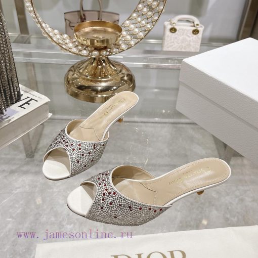 Top tierDior 2024 Spring/Summer New Fish Mouth Slippers Round Headed Mary Jane Heels Top in s4iaq64i - Image 4