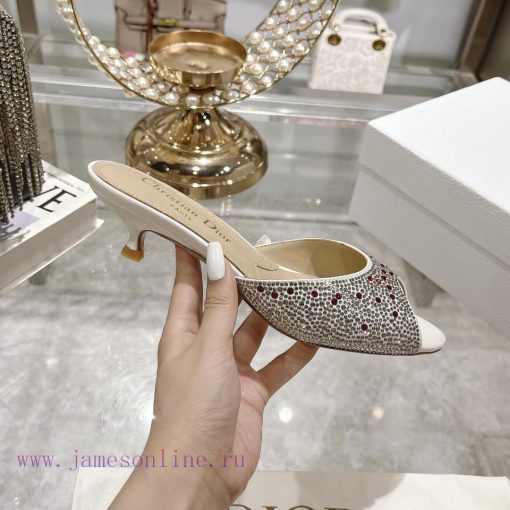 Top tierDior 2024 Spring/Summer New Fish Mouth Slippers Round Headed Mary Jane Heels Top in s4iaq64i - Image 6