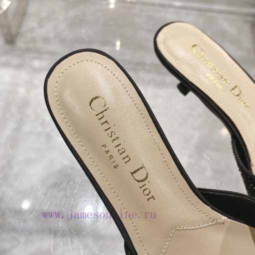 Top tierDior 2024 Spring/Summer New Fish Mouth Slippers Round Headed Mary Jane Heels Top in b3r78rm1 - Image 8