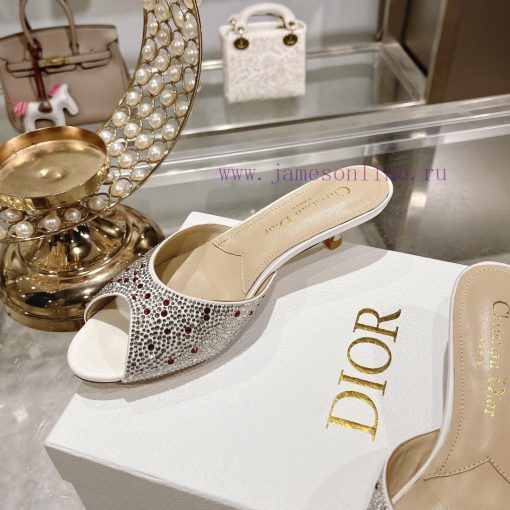 Top tierDior 2024 Spring/Summer New Fish Mouth Slippers Round Headed Mary Jane Heels Top in s4iaq64i - Image 7