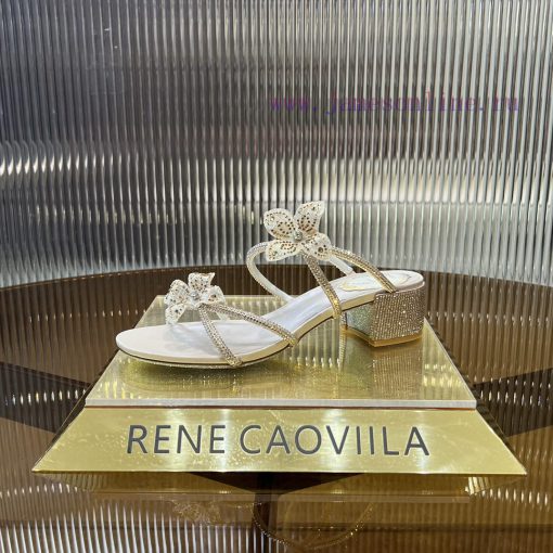 R ᴇɴᴇ C ᴀᴏᴠɪʟʟᴀ | 2024 ss Renee Jolla, RC Spring/Summer Collection, Square Heel Lace Flower lvsks03w - Image 5
