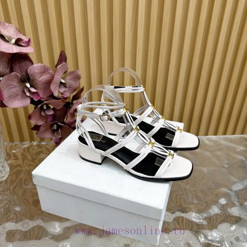 Roman Sandals New Collection -2024 Spring/Summer Collection ◼️CELINE ◼️ Celine's new spring rt24e1gy