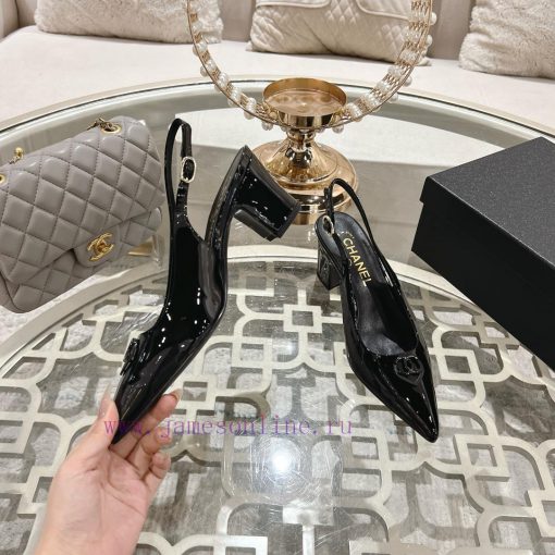 Chanel C Home 2025 Early Spring New Pointed Mary Jane Fashion Single ShoesSingle shoe round s0ko5zb8 - Image 5