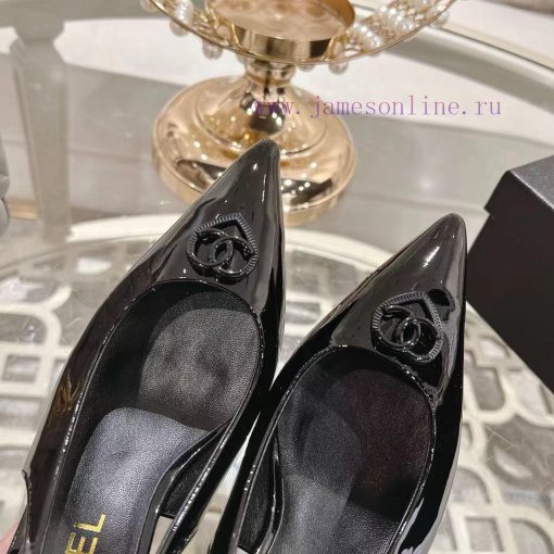 Chanel C Home 2025 Early Spring New Pointed Mary Jane Fashion Single ShoesSingle shoe round s0ko5zb8 - Image 9