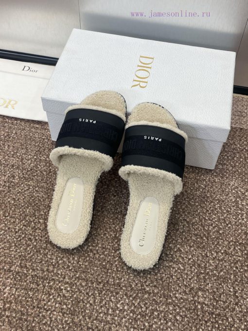 Dior 2024 Spring/Summer New DWAY Flat Bottom One Word Drag Color blocked Women's Shoes CD Leh6ineye6 - Image 6