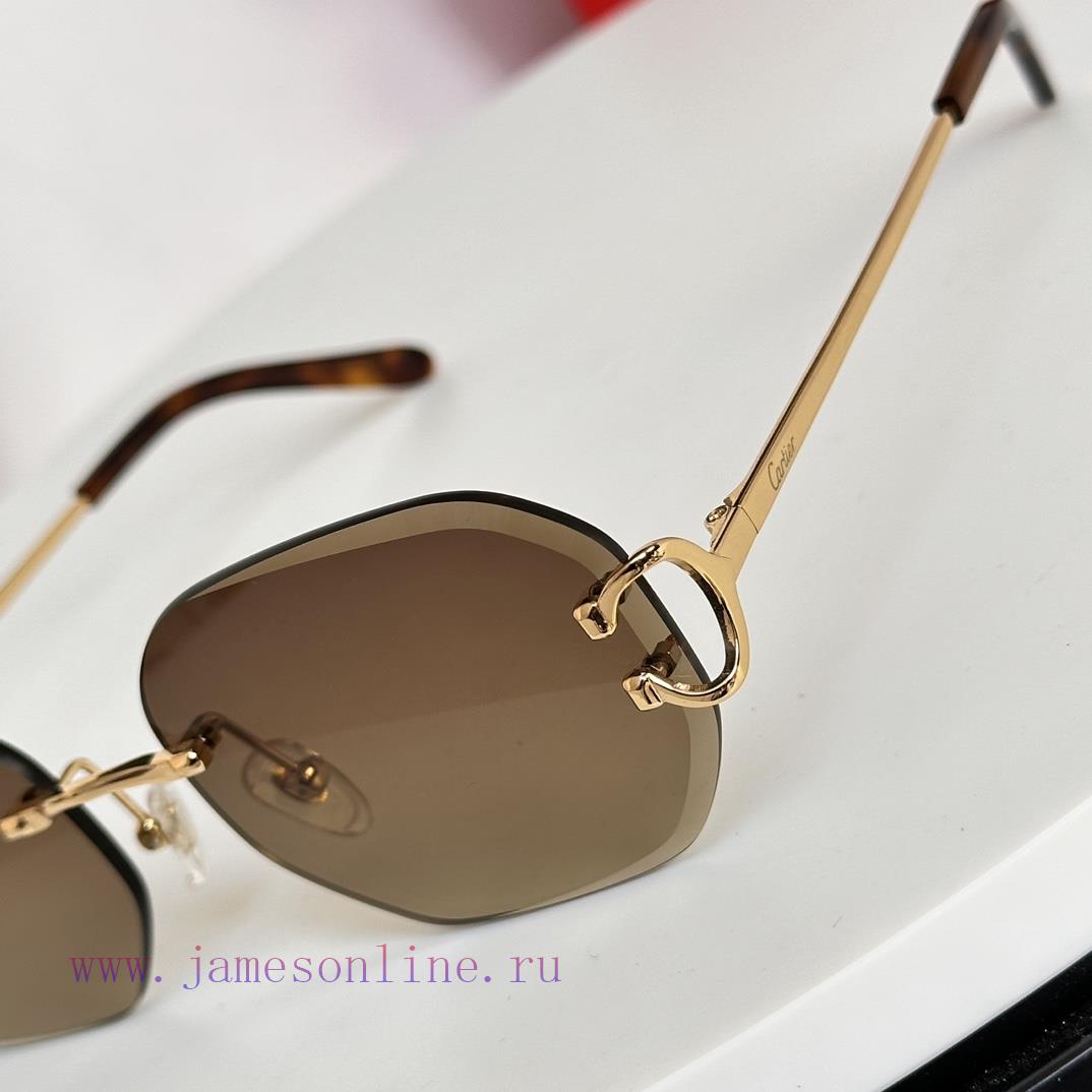 Crazy Cartier CT0094Size52-19-1457cv4zhjp - Image 8