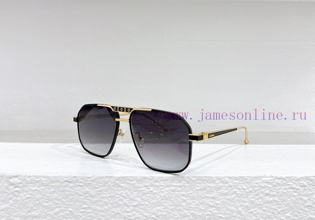 Cartier MODELCT0416SSIZE 58 port 15-142usdsvs0z - Image 6