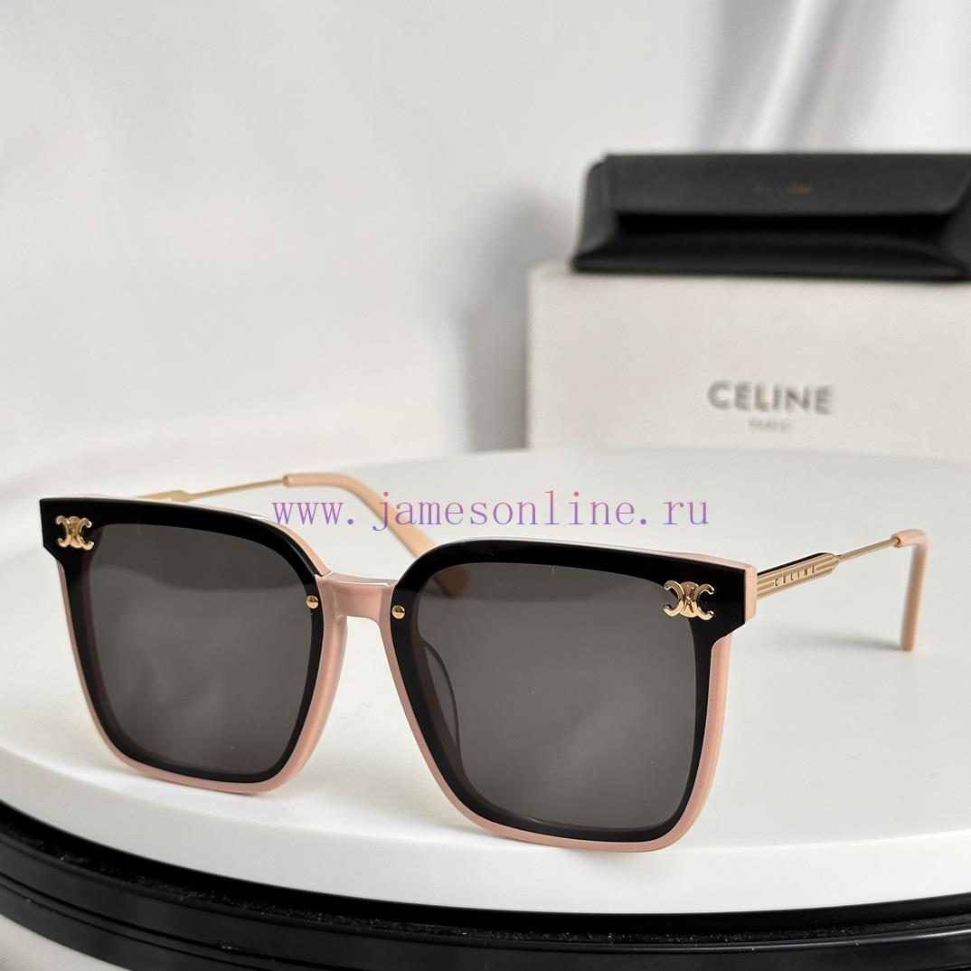 CELINEModel CL40550FSIZE65-14-145.2narjmdt