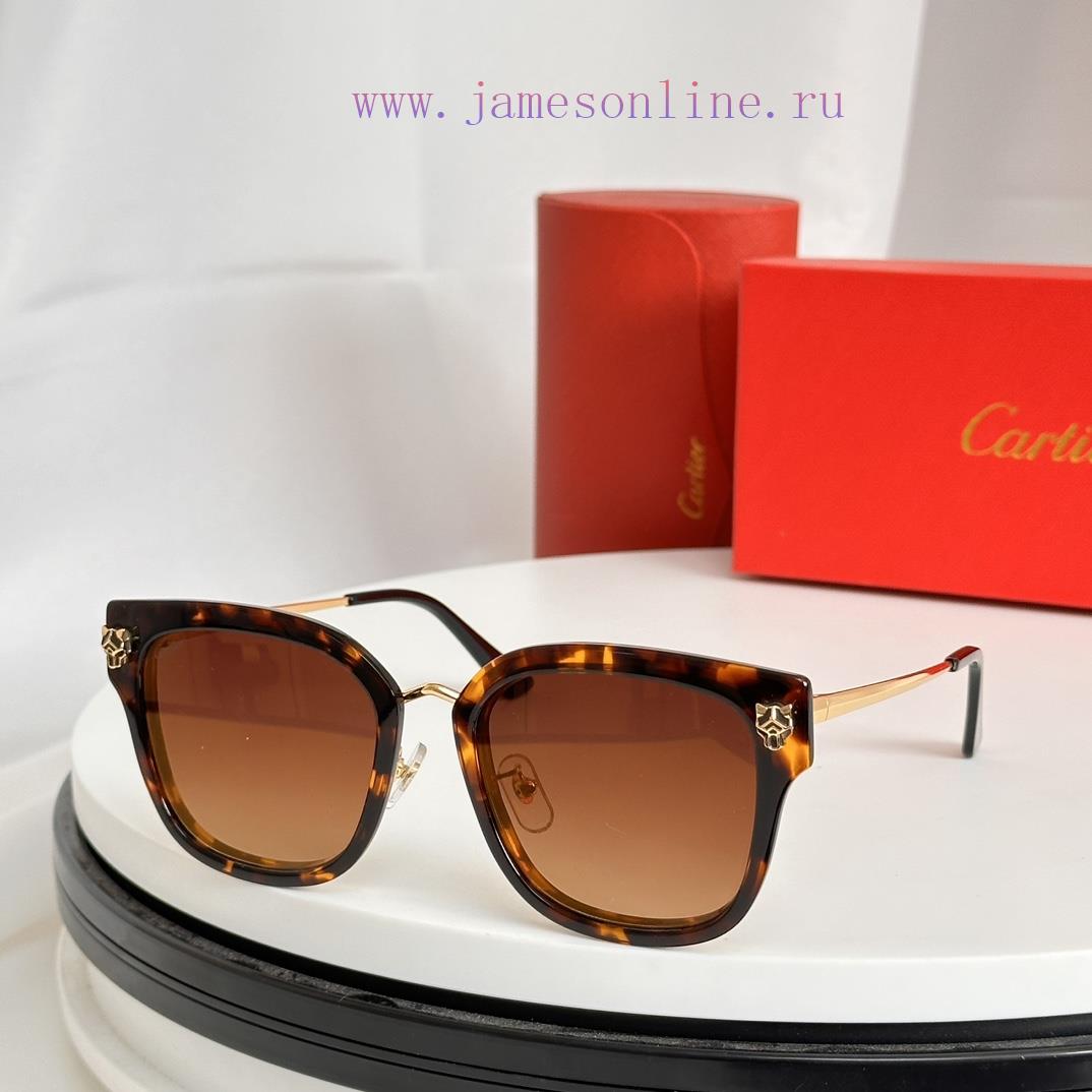 Cartier MODELCT0496S SIZE 55 Port 21-145am6meafq