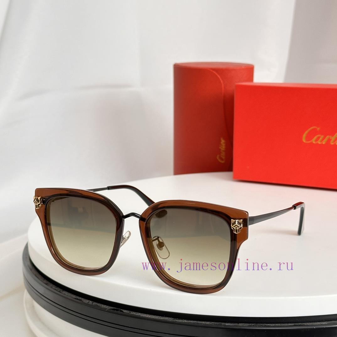 Cartier MODELCT0496S SIZE 55 Port 21-145am6meafq - Image 3