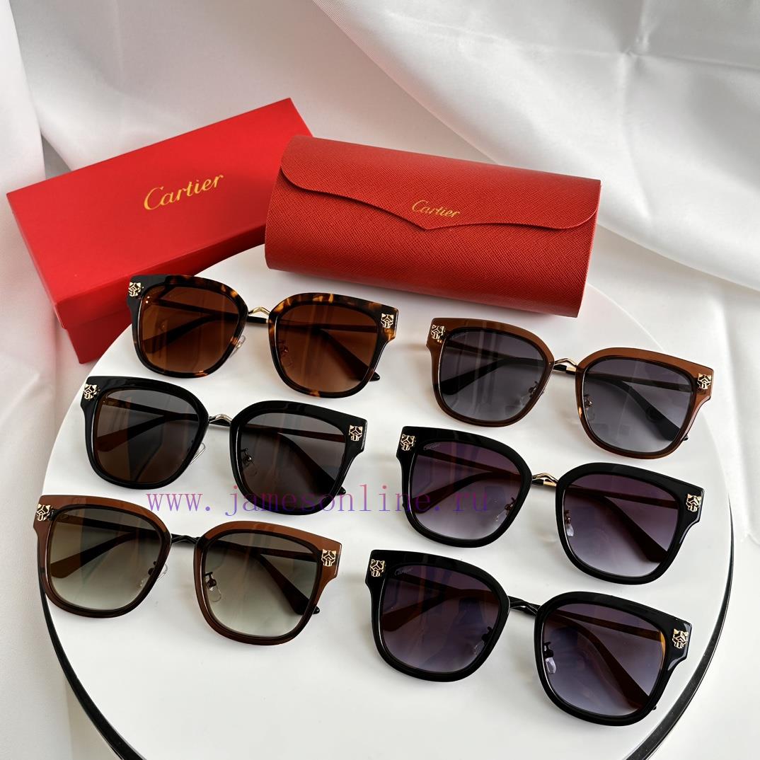 Cartier MODELCT0496S SIZE 55 Port 21-145am6meafq - Image 10