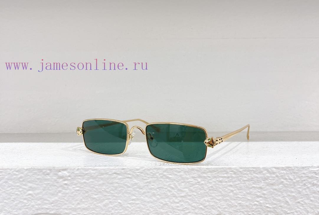 Cartier MODELCT0473SSSIZE 54 ports 20-140z63083we
