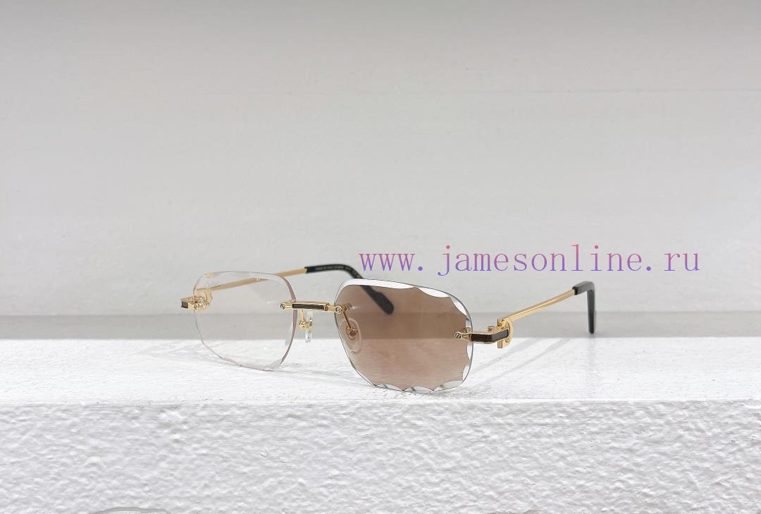 Cartier MODELCT0461SSIZE 55 Port 17-140 Color Changetj272moj - Image 2