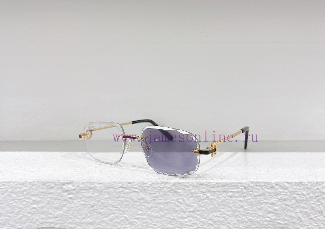 Cartier MODELCT0461SSIZE 55 Port 17-140 Color Changetj272moj - Image 4